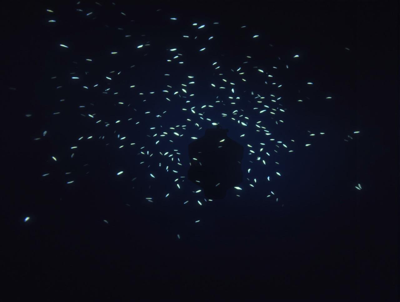 恐怖视频纪录片：深海探秘观后感分享